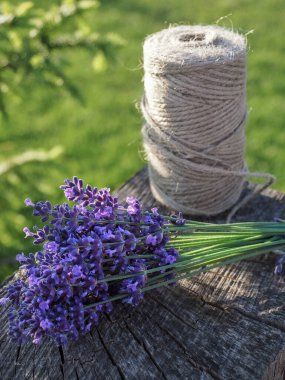 Ahşap masaya bağlanmış bir demet lavanta çiçeği. Arka planda bulanık çimenler. Boşluğu kopyala. 