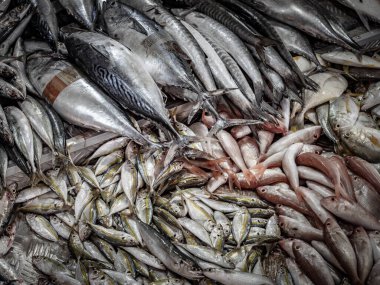 Köpük soğutma kutusunda satılmaya hazır taze balık yığını. Marketi kapatın.. 