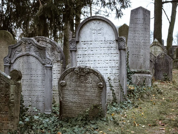 Trebic Czech Republic November 2018 Jewish Graveyard Trebic Unesco Heritage — Stock Photo, Image