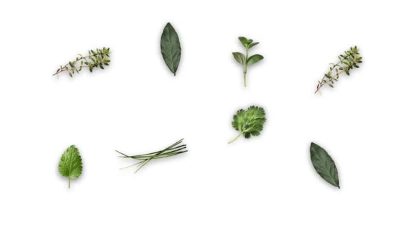 Свіжі Зібрані Зелені Трави Створюють Форму Білого Серця Зеленому Тлі — стокове відео