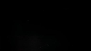 Siyah arka planda bir demet taze maydanoz. Ağır çekim. Tam HD görüntüler.