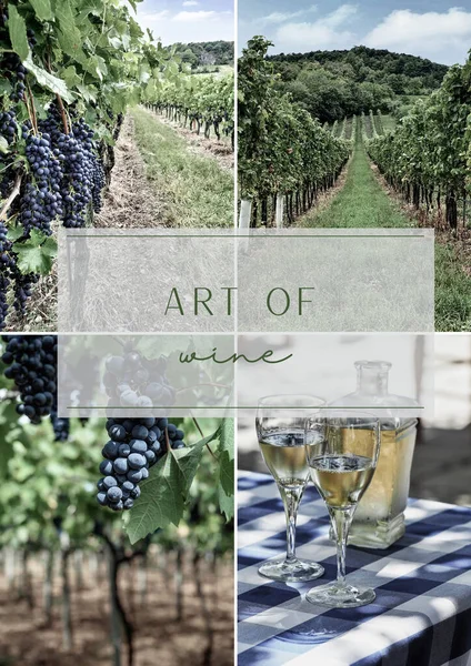 Collage of four images with text - Art of wine. Social media post. Mood board. — Foto Stock