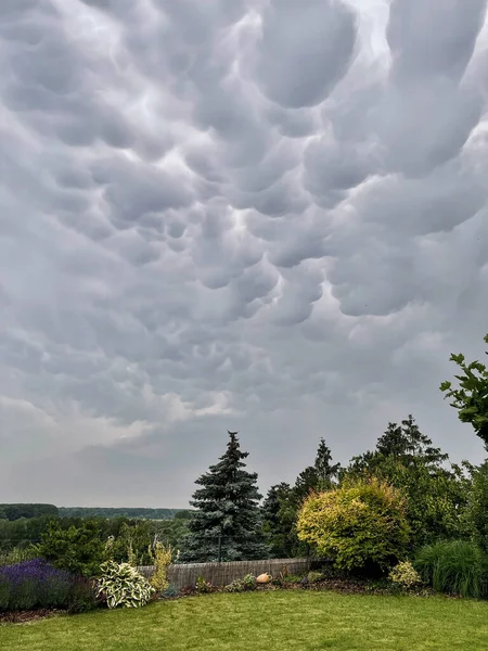 Mammatus clouds over the garden. The name mammatus is from latin mamma which means udder or breast. Climate changes.