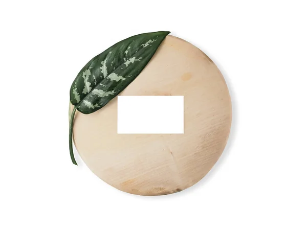 One Leaf Dumb Cane Plant Blank White Paper Label Wooden — Stockfoto