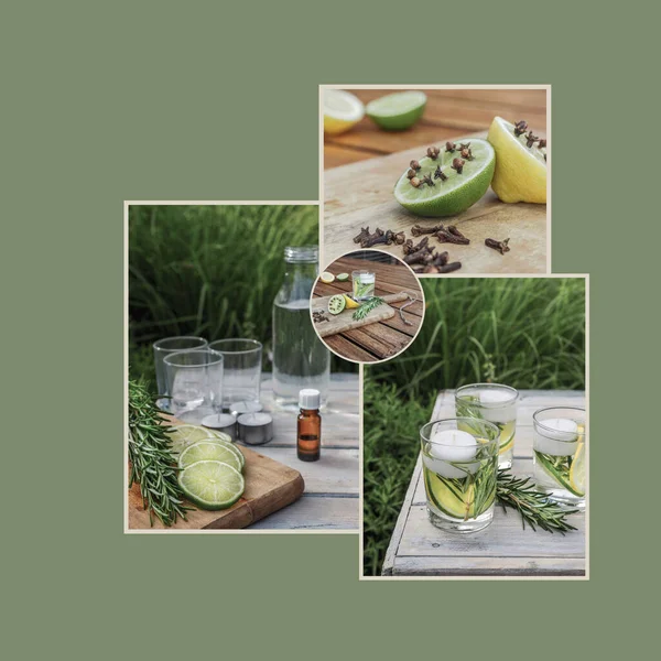 Natural mosquito repellents. Ingredients for natural homemade repellent. Collage of four images. Mood board. Template with copy space.
