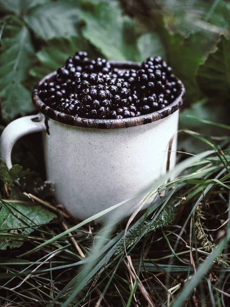 Gelas putih tua dari blackberry matang di rumput hijau di taman. — Stok Foto