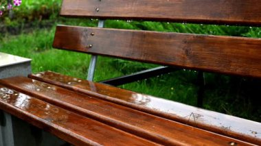 Yedek kulübesine düşen yağmur damlaları. Çimen yolu yağmurdan dolayı taşmış. Arka planda insanlar ve trafik var. Sonbahar kasabası. Sonbahar havası. Yaz yağmurlu bir gün. Bahçede yağmur