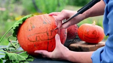 Eller korkunç bir cadılar bayramı balkabağı oyuyor. Cadılar Bayramı için balkabağı dekoru yapıyorum. Kutlama için hazırlık. Cadılar Bayramı balkabağı hazırlanıyor. Jack-O-Fener