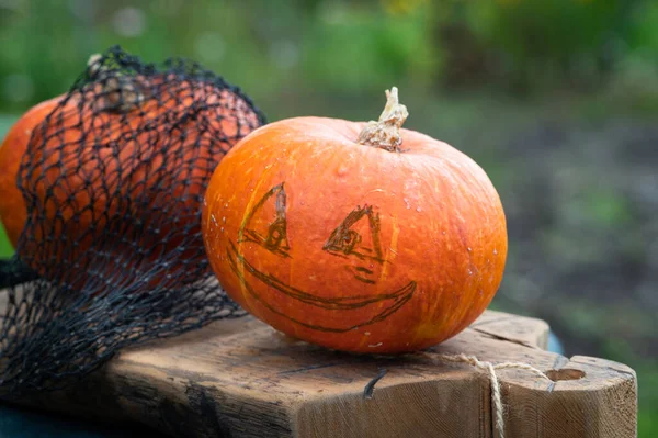 Halloween scary pumpkin with a smile in autumn garden. Preparation for celebration. Preparing pumpkin for halloween. Jack-O-Lantern. Making pumpkin decor for Halloween