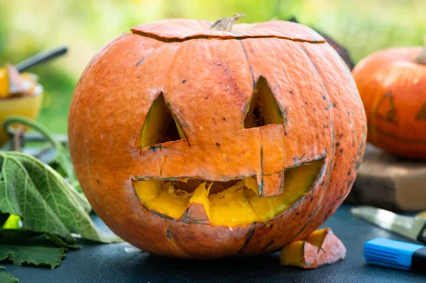 Halloween scary pumpkin with a smile in autumn garden. Preparation for celebration. Preparing pumpkin for halloween. Jack-O-Lantern. Making pumpkin decor for Halloween