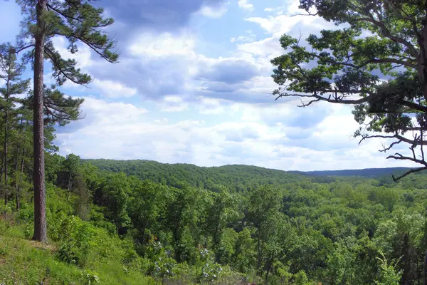 Paysage boisé vallonné — Photo