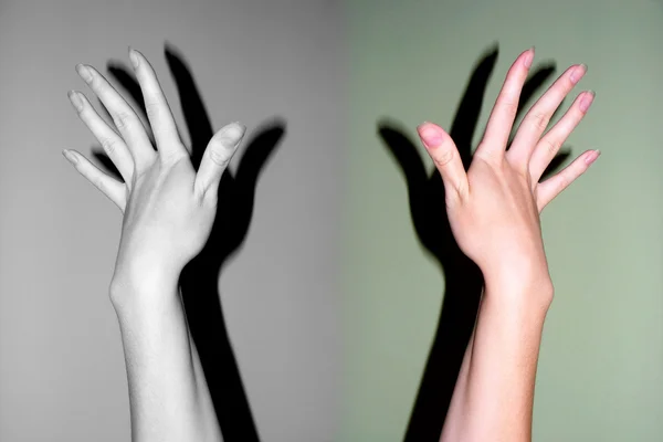 Par de manos femeninas —  Fotos de Stock