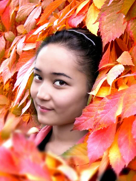 Herbstschönheit — Stockfoto