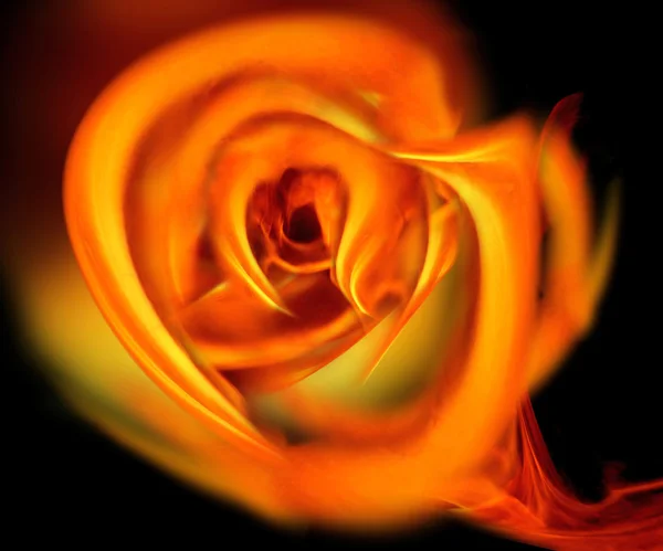 ateş siyah arka plan üzerine gül