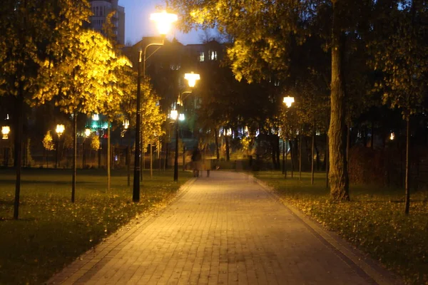 Ζεστό Φως Στο Πάρκο Βράδυ — Φωτογραφία Αρχείου