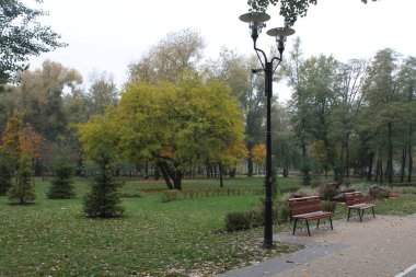 Şehir parkında sonbahar