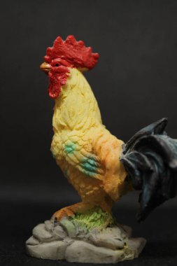 Siyah bir stüdyoda parlak bir aşçı.