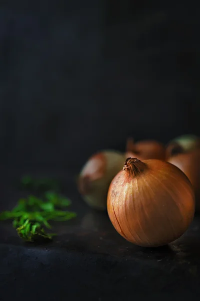 Zwiebeln im Dunkeln — Stockfoto