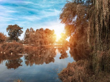 Gün batımında göl manzarası. Bulutlu mavi gökyüzü. Bereketli taçlı ağaçlar. Yatay görünüm.