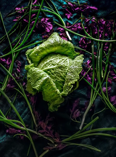 Repolho e legumes — Fotografia de Stock