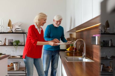 Yaşlı bir çift mutfağı temizliyor ve bulaşıkları rafa koyuyor. Bu arada büyükannen ve büyükbaban bulaşıkları yıkıyor ve birlikte ev işi yapıyorlar.