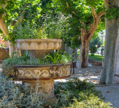 Arka planda ağaçlar olan bir parkta büyük, süslü bir çeşme bulunur. Çeşme bitkiler ve çiçeklerle çevrili, huzurlu ve huzurlu bir atmosfer yaratıyor. Ağaçlar gölge sağlar.