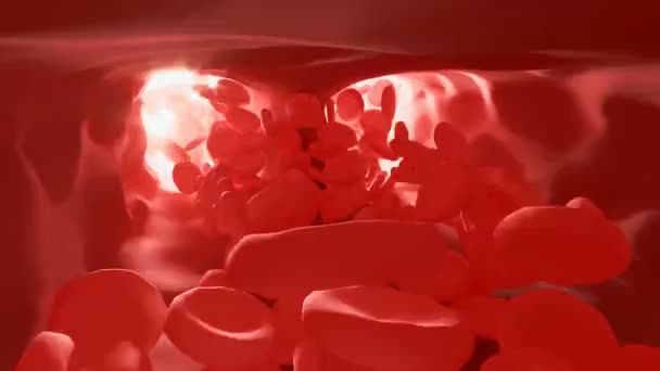 Globuli rossi in un'arteria, flusso all'interno del corpo, assistenza sanitaria medica umana. globuli rossi. Elementi sanguigni. 3d rendering globuli rossi — Video Stock