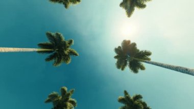 Beverly Drive 'dan geçiyorum. Los Angeles, Kaliforniya. Yazın gökyüzüne karşı palmiye ağaçları.
