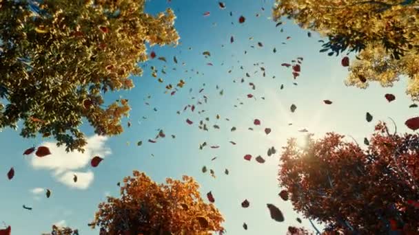 Barevné podzimní listí. Pohled podzimním listím v horském lese. Zlaté listy stromu. Podívejte se na padající zlaté podzimní listí. Zpomalení 4K 3D animace — Stock video
