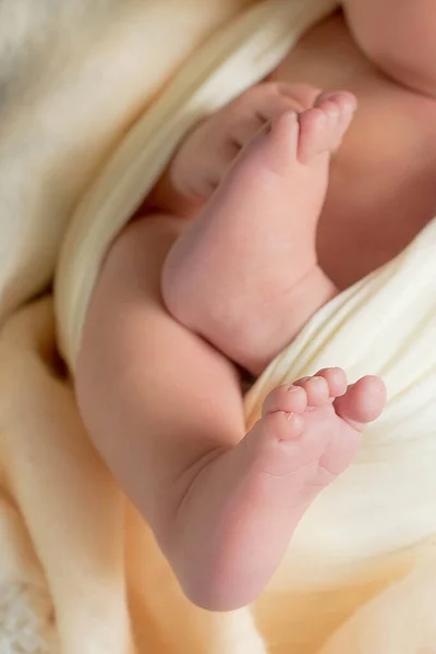 Μαλακά Νεογέννητα Πόδια Ενάντια Μια Ροζ Κουβέρτα — Φωτογραφία Αρχείου