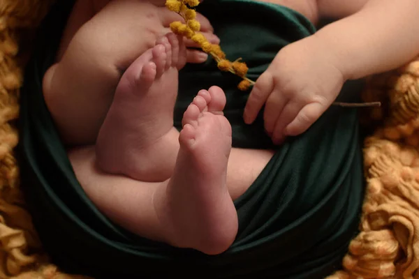 Pieds Bébé Doux Contre Une Couverture Rose — Photo