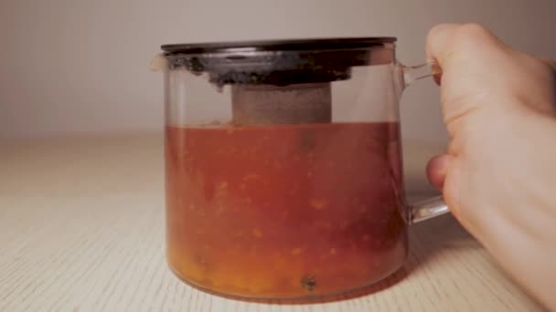 Vaření čaje v džbánu - čajové lístky plovoucí v čaji. zázvor a citrónový mořský rakytník rybíz — Stock video