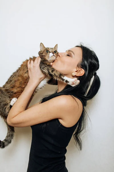 若いです美しいですブルネット接吻A猫で彼女の腕 — ストック写真