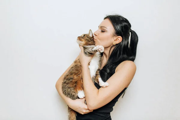 若いです美しいですブルネット接吻A猫で彼女の腕 — ストック写真
