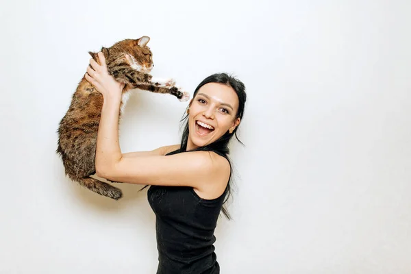 Mooi Glimlachen Brunette Meisje Haar Kat Witte Achtergrond — Stockfoto