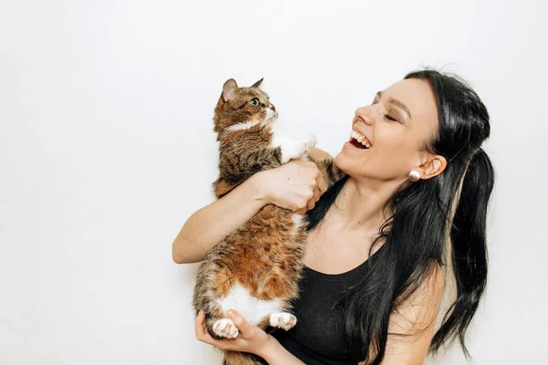 Bela Sorridente Morena Menina Seu Gato Sobre Fundo Branco — Fotografia de Stock