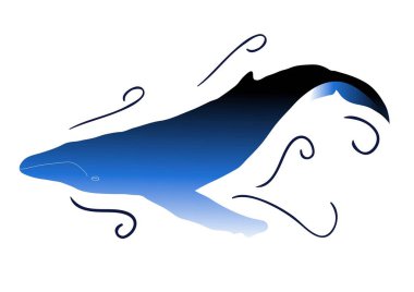 Vektör çizimi kambur balina