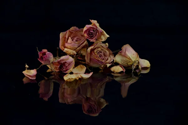 Rosas Desbotadas Superfície Reflexiva — Fotografia de Stock