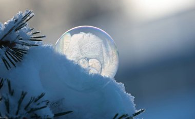 Çok soğuk bir kış gününde, karda donmuş güzel bir sabun köpüğü.