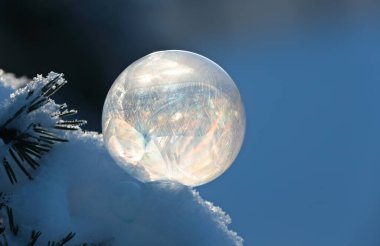 Çok soğuk bir kış gününde, karda donmuş güzel bir sabun köpüğü.