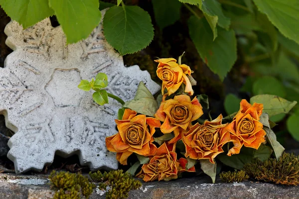 Ramo Rosas Anaranjadas Secas Una Piedra —  Fotos de Stock