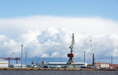 Turnalar denizin kıyılarında çalışıyor.