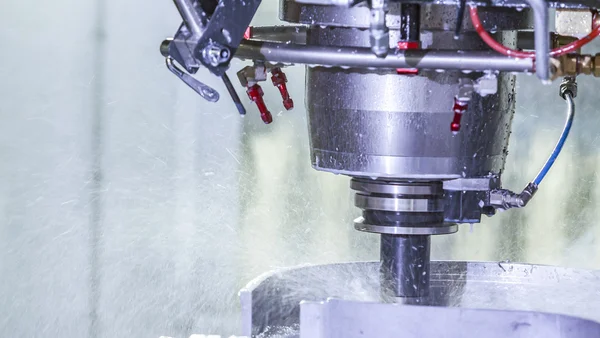 Torna çalışkan çalışandır