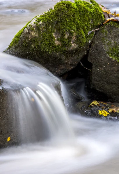 Rápidos en el otoño — Foto de Stock