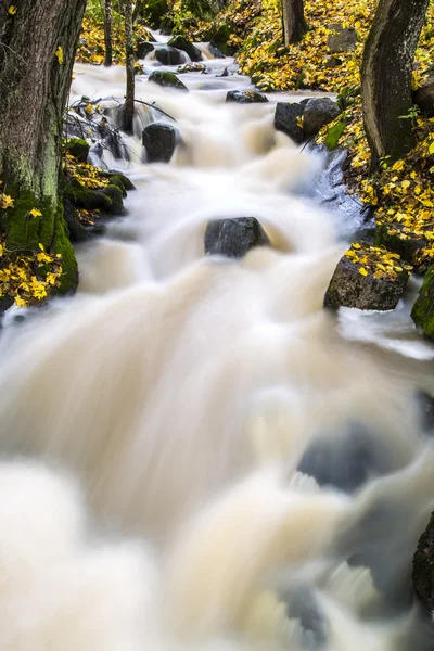 Rápidos en el otoño — Foto de Stock