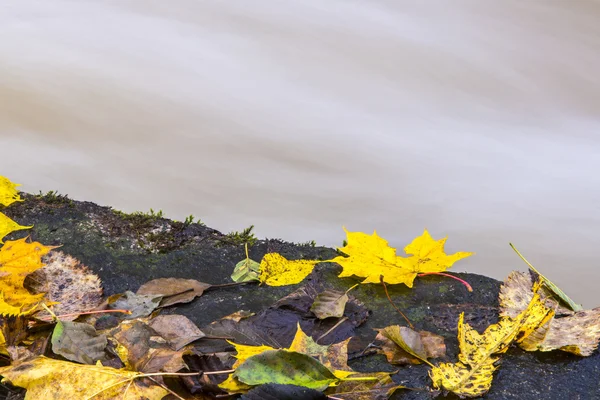 Rapids jesienią — Zdjęcie stockowe