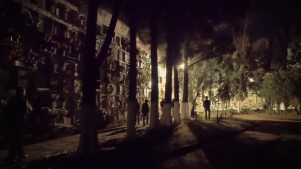 Люди, посещающие кладбище ночью — стоковое видео
