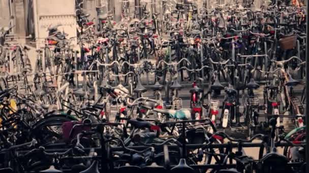 Bicicletas estacionadas en línea — Vídeos de Stock