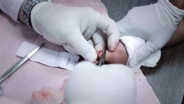 Pediatra costurando a ferida — Vídeo de Stock