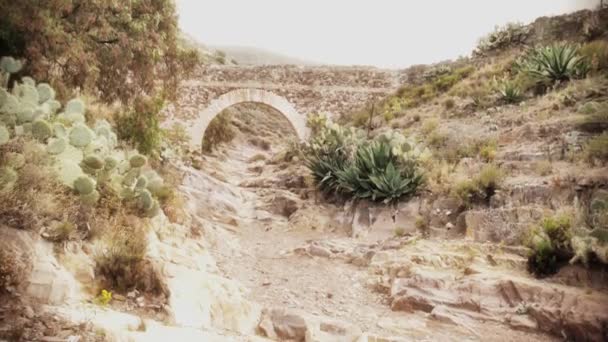 Ponte em uma cidade abandonada — Vídeo de Stock